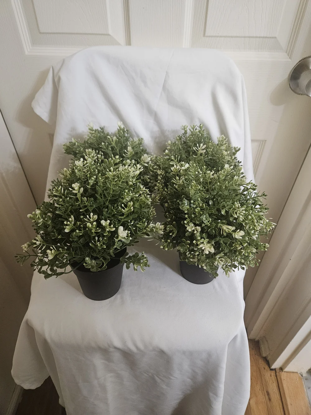 IKEA Green Variegated Faux Boxwood Topiary Pair